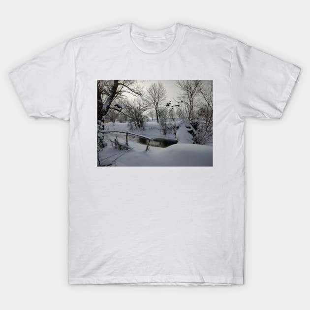 Winter on the river T-Shirt by Gourmetkater